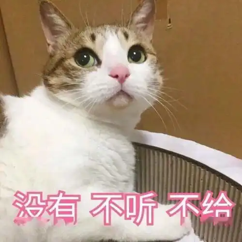 聊天斗图表情包丨甜心我来啦