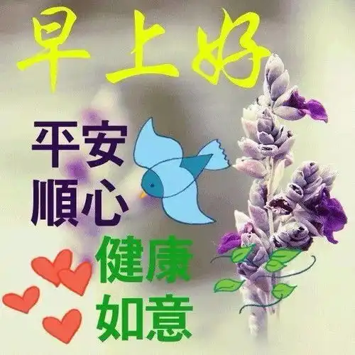 清晨群发早安祝福短信温馨带图片鲜花早上好表情动态图