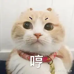 驾校与驾考考场有联合黑幕吗