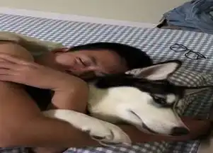 男子非要抱着哈士奇睡觉,看到哈士奇生无可恋的表情网友都笑了