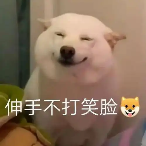 这么能抖机灵观众也不烦,全因笑到停不下来