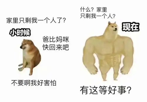 我说我比较喜欢李白的诗,陆游气坏了,我家就不能上网了