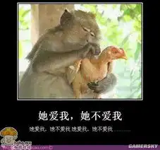 猴子图片搞笑表情包入村