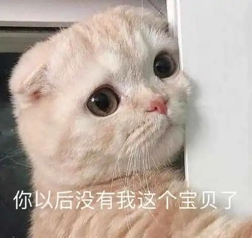 男生用猫猫表情包哈哈哈
