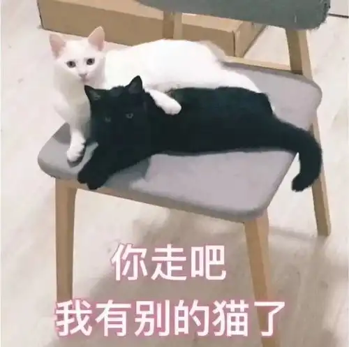 套路男朋友的连环表情包