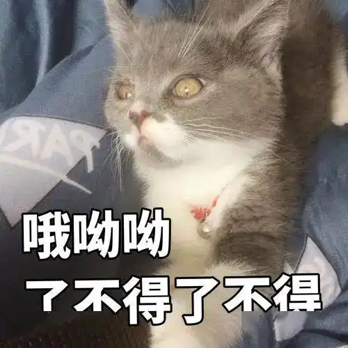 因游戏7年花掉近10万北川10岁男孩被妈带到派出所这孩子莫法管了,只有来报警