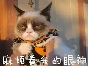 澳门一男子吞药自杀不成被好友救,自称是被人逼的