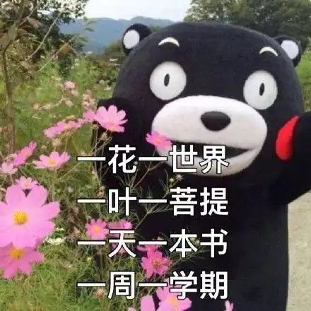 20考研考研人的表情包,必须是这样滴