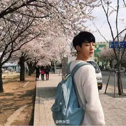 求此图的高清原图