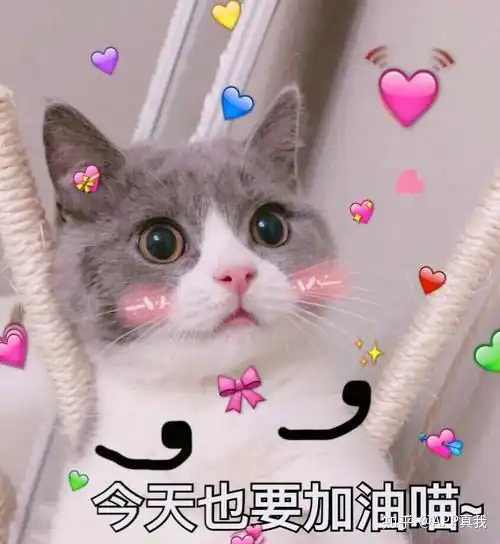 基因检测价格真的这么便宜吗