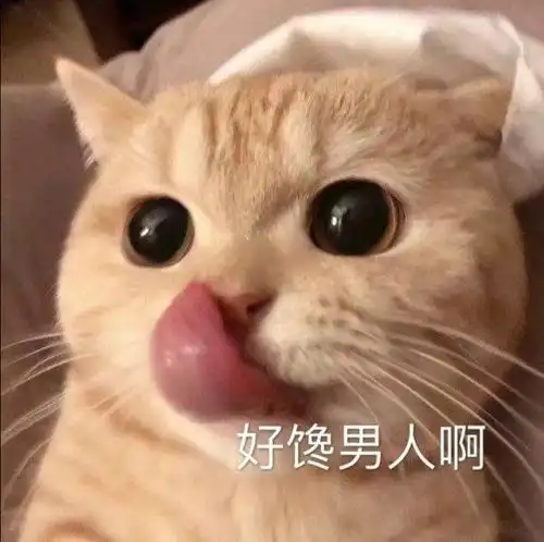 搞笑gif陪我玩会吧,忒无聊了