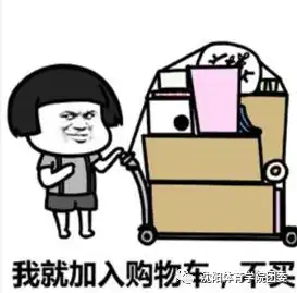 风在吼马在叫双十一在咆哮