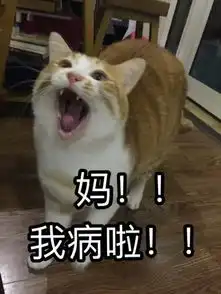 妈我饿了表情包无水印版