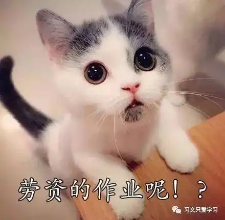 用低版本pr打开高版本工程攻略