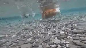 都说好奇心害死猫,有些事情还是不要知道的好