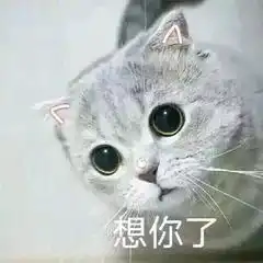 猫咪偷偷抹把泪表情包台