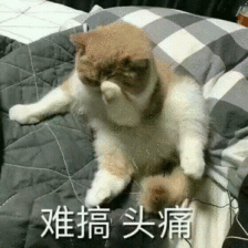 150亿次点击2个中国博士生制作出全球在看的权威疫情地图厉害了