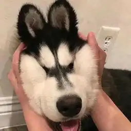 有什么东西越冷越好吃