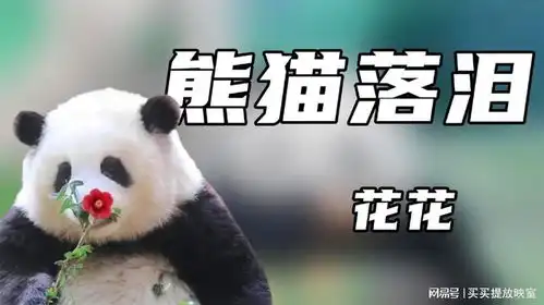 熊猫落泪花花委屈到泪流不止,扯下了多少无良游客的遮羞布