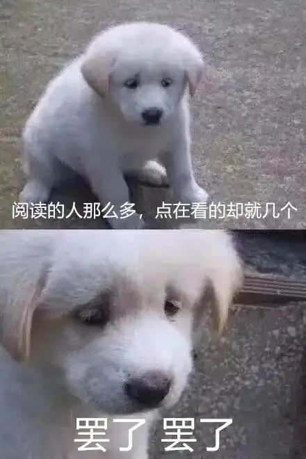 驾考题是如何把人逼疯的沙雕网友评论把我笑尿了哈哈哈
