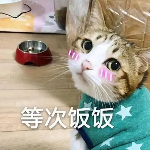 论用餐仪式感,你都不如一只猫