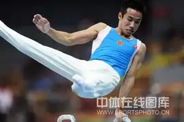 体操男子资格赛第三轮肖钦表情吃力