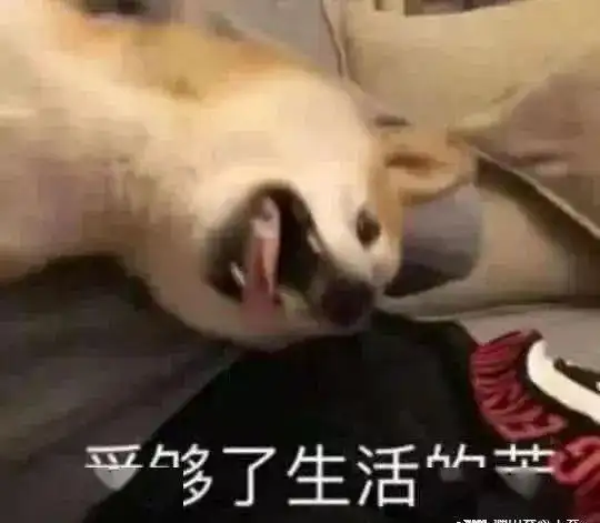 跟着工会练太极公益云课堂第一讲开课啦