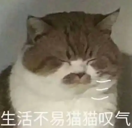 被生活所迫的表情包生活