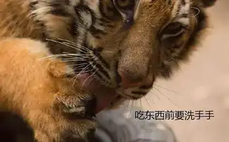 来看看动物园的这群戏精新晋表情包,简直不要太萌哦