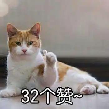 一元硬币图片表情包猫咪