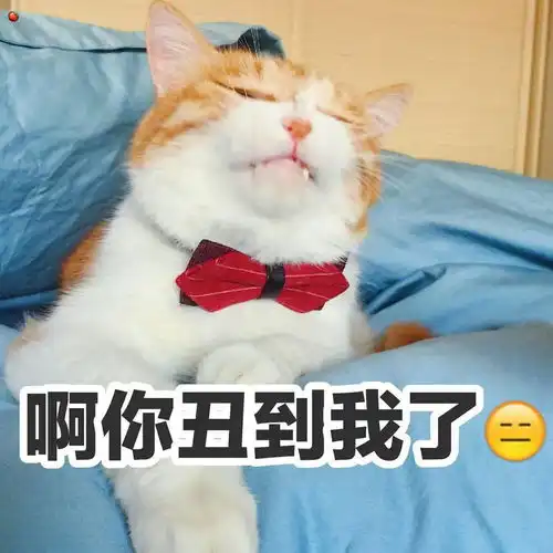 表情包愿丢失的快乐都在这冬天悉数归来