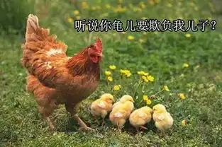 鸡年要用对的表情包,重庆言子版鸡年表情包爆笑来袭