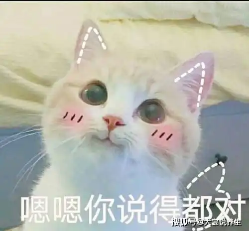 搞笑gif动态图大爷还是你大爷,不接受反驳