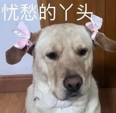 快来换新的好玩表情包喽8.15