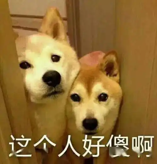 lv请萨满dior迷算命,时尚圈不迷信无法上位当大佬