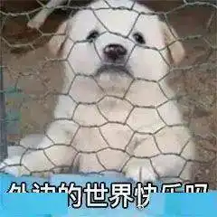 上班平替坐牢表情包