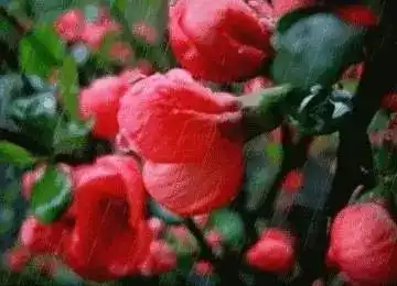 再不珍惜,我们就老了