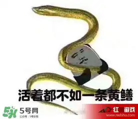 七彩皮皮鳝我们往死里钻是什么意思七彩皮皮鳝我们去个好地方是什么意思
