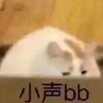 桥洞底下睡觉表情包