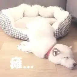 表情包老公,总之哄不好了委屈生气猫猫表情,贼可爱