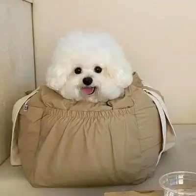 母猪图片表情包好想