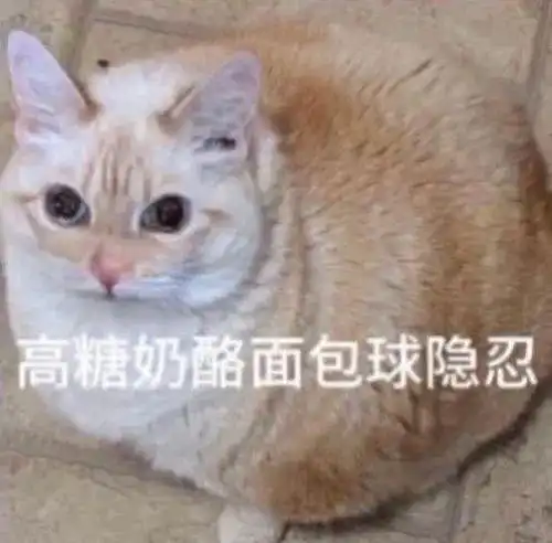 无糖白面馒头邪笑丨第878期喵表情包