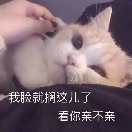 何禹赤珠分享有哪些女生常识,是男生不知道的
