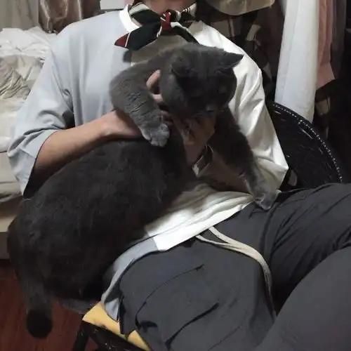 抱着猫猫的男生头像