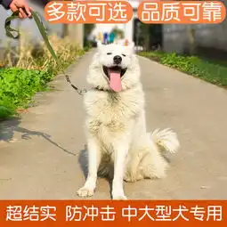 笨笨熊宠物用品产品产品图片加盟店怎么样