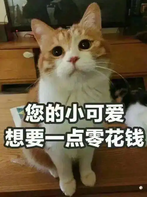 刷个短视频,竟成了嗷嗷待割的韭菜