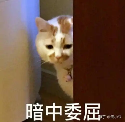 崩坏三喵喵喵表情包壁纸