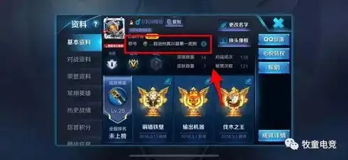 王者荣耀玩家仅仅v1,就拥有武则天星空梦想和298皮肤碎片