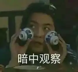 ios14大曝光,期待了500年的分屏功能终于有了