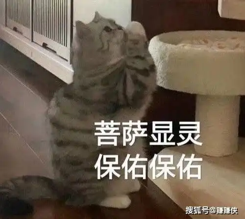 搞笑表情包图片妹妹,我有话和你说,把耳朵凑过来